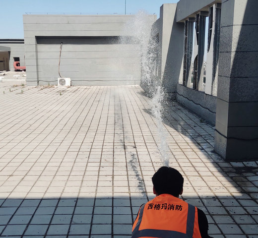 ����ĳ�ǱP(p��n)�����z�y(c��)